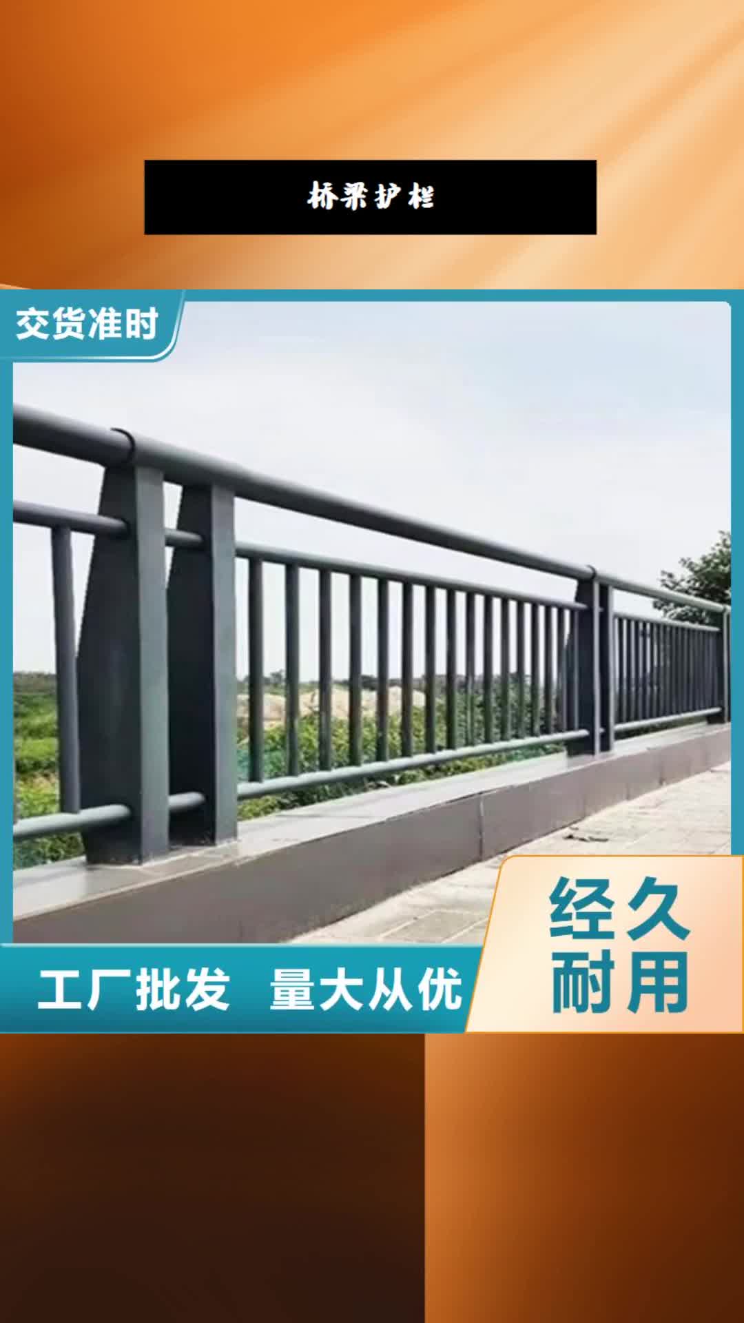 【绵阳 桥梁护栏碳钢防撞护栏严格把控每一处细节】