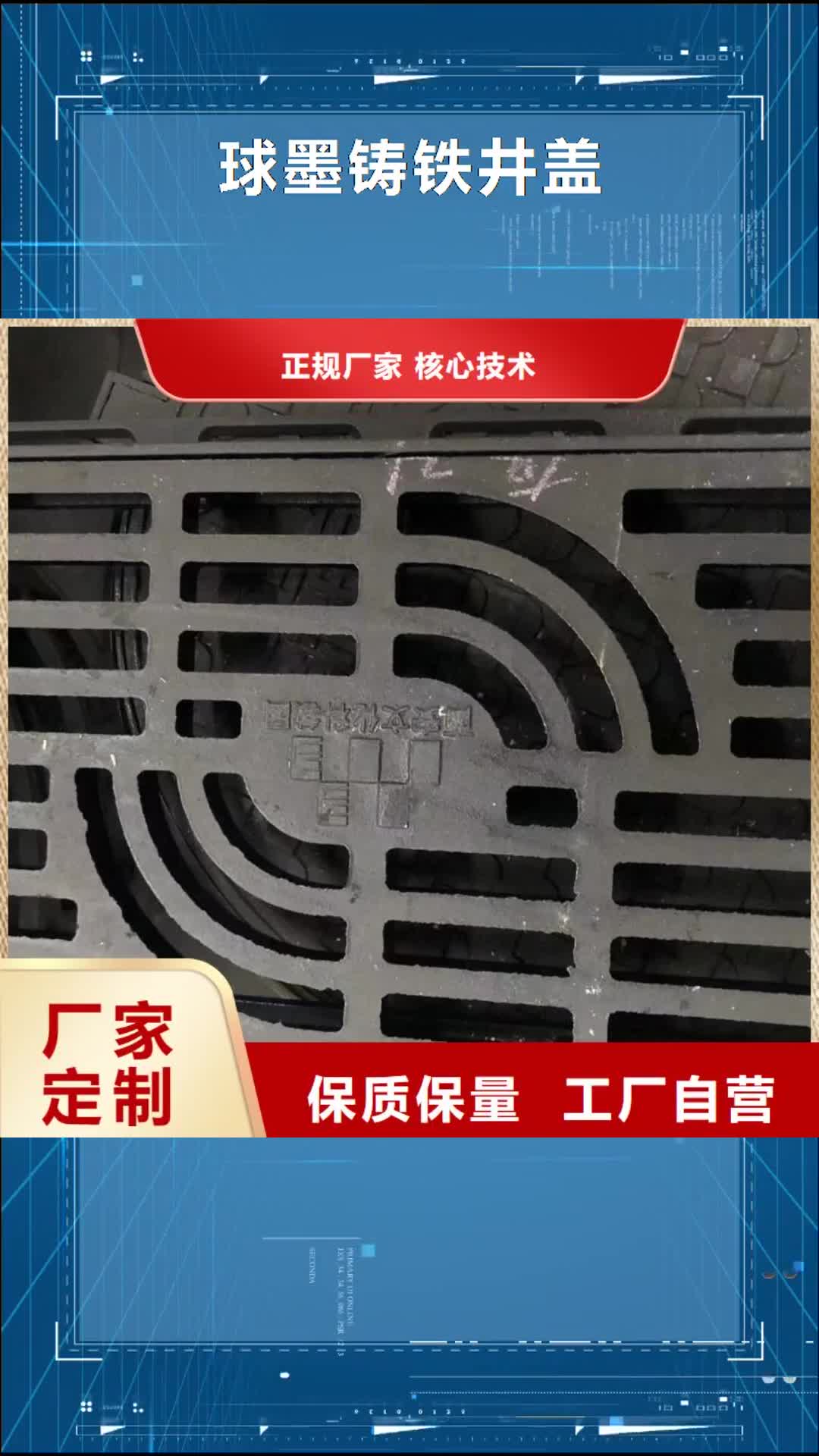 西双版纳【球墨铸铁井盖】-雨水井盖实力雄厚品质保障